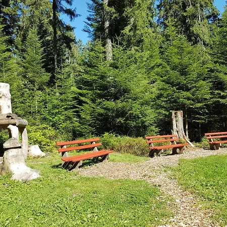 Apartment Schwarzwaldfreude Freudenstadt